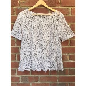 Loft Blush Lace T-Shirt